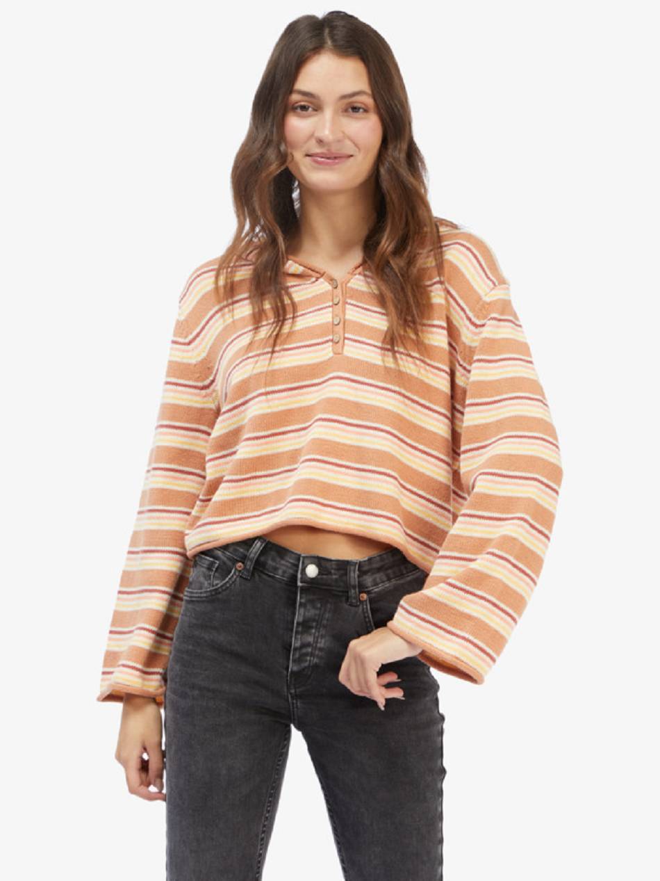 Roxy Side Swipe Hoodie Women\'s Sweaters Brown Stripes | SG_LW8919