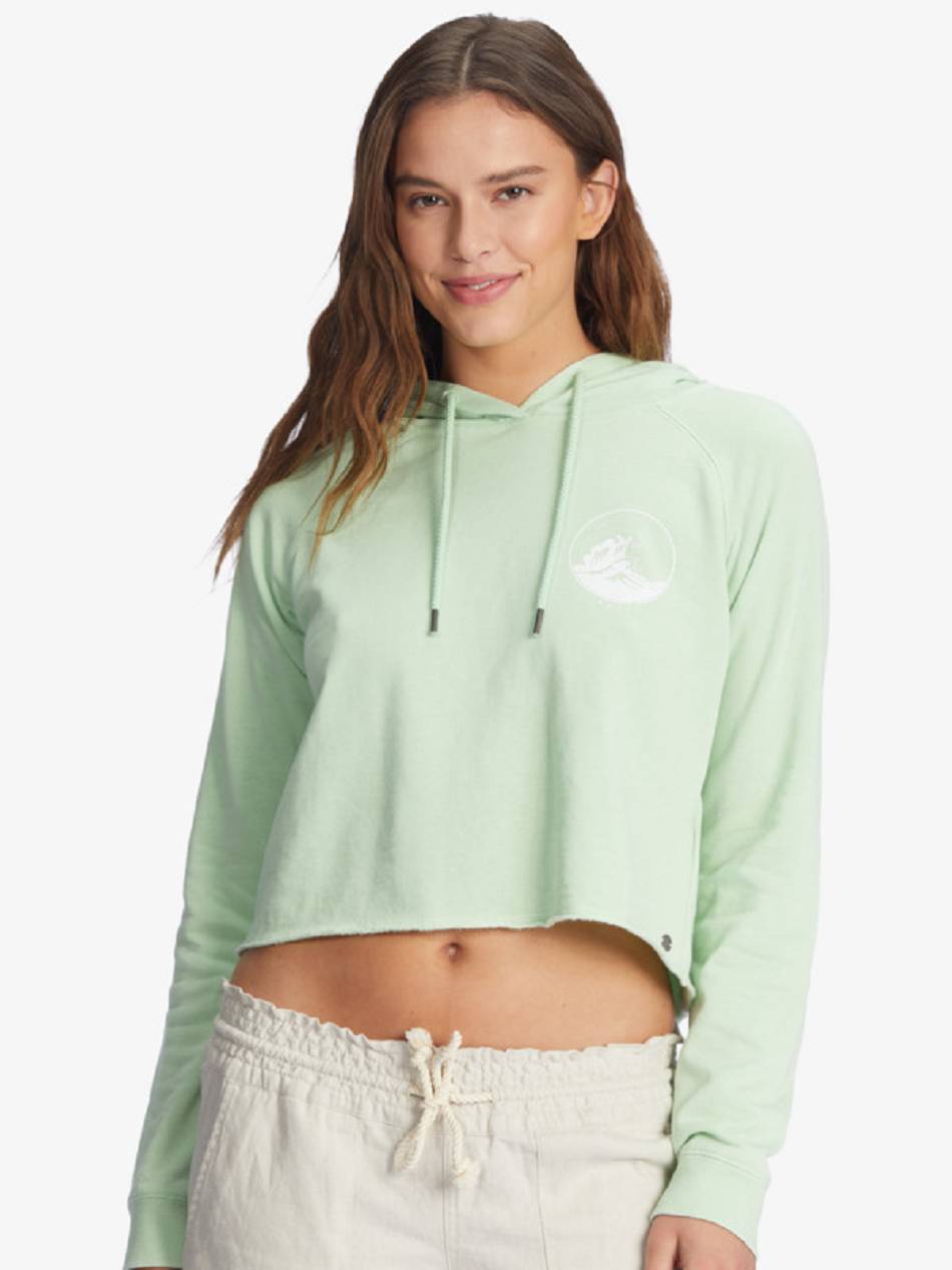 Roxy We Arrived Women\'s Hoodies green | SG_LW7111