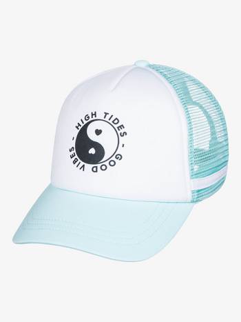 Roxy Dig This Women's Hats Light blue | SG_LW3968