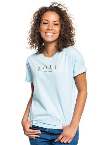 Roxy Epic Afternoon Women's T-Shirt Blue | SG_LW9439