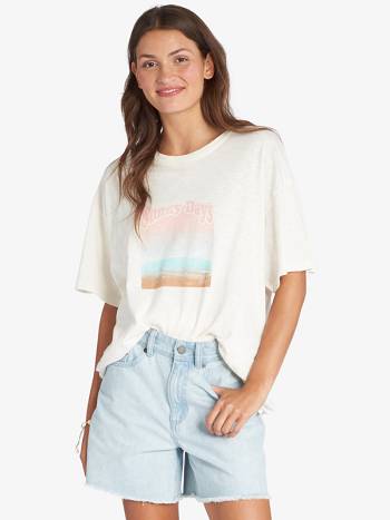 Roxy Gradient Landscape Boyfriend Women's T-Shirt White | SG_LW2498