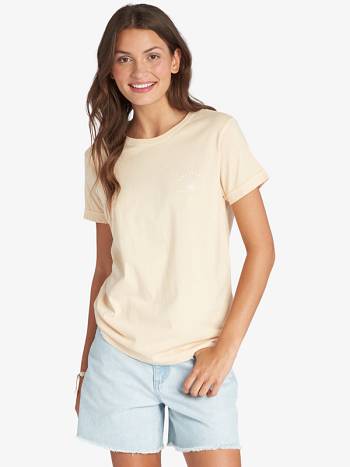 Roxy Grateful Sun Boyfriend Women's T-Shirt Beige | SG_LW6909