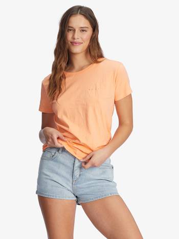 Roxy Log Morning Boyfriend Women's T-Shirt Beige | SG_LW3459