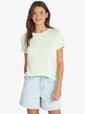 Roxy Lucky Wave Boyfriend Women's T-Shirt green | SG_LW3217