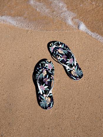 Roxy Portofino Women's Flip Flops Black | SG_LW5620