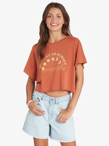 Roxy Sunrise To Sunset Drop Shoulder Women's T-Shirt Brown | SG_LW2799