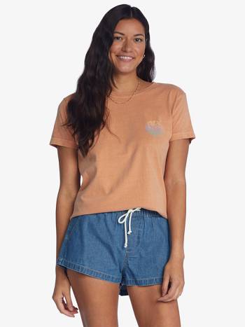 Roxy Waves Of Change Boyfriend Women's T-Shirt Brown | SG_LW3994