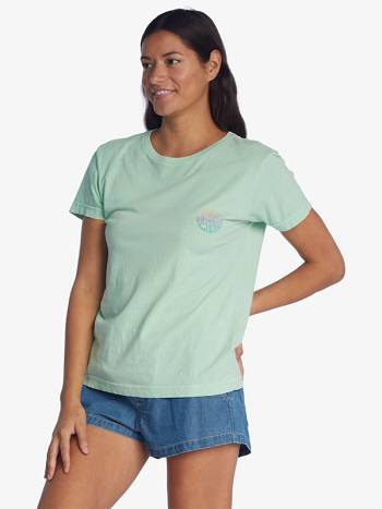 Roxy Waves Of Change Boyfriend Women's T-Shirt green | SG_LW9775