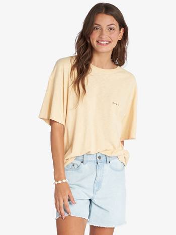 Roxy Welcome To Paradise Boyfriend Women's T-Shirt Beige | SG_LW8601