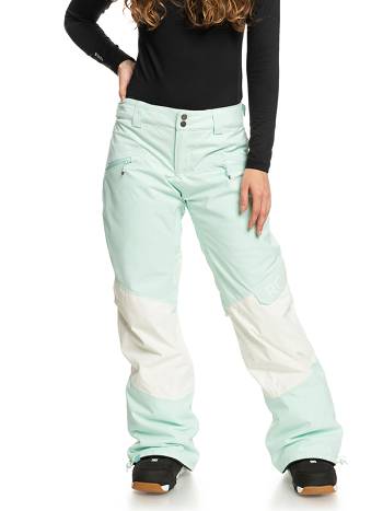 Roxy Wood Rose Insulated Women's Snow Pants Light Turquoise | SG_LW6388